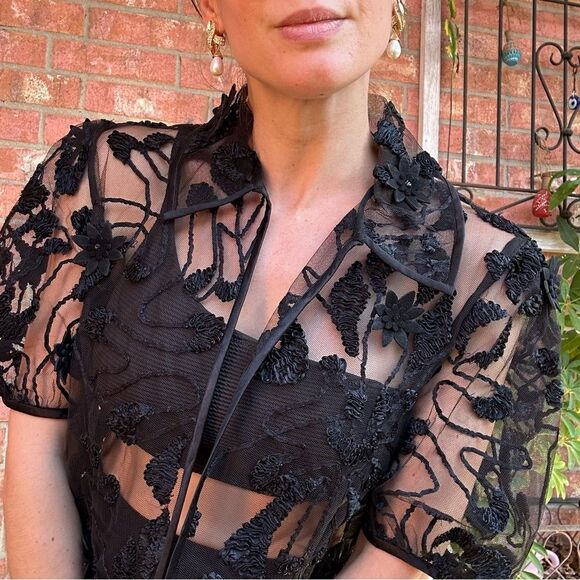 Black Sheer Mesh 3D Floral Embroidered Top Puff Sleeve Whimsigoth Witchy - Picture 4 of 10